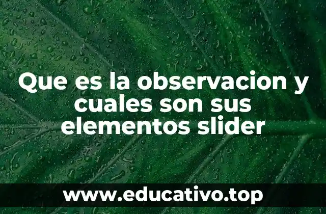 Que es la observacion y cuales son sus elementos slider