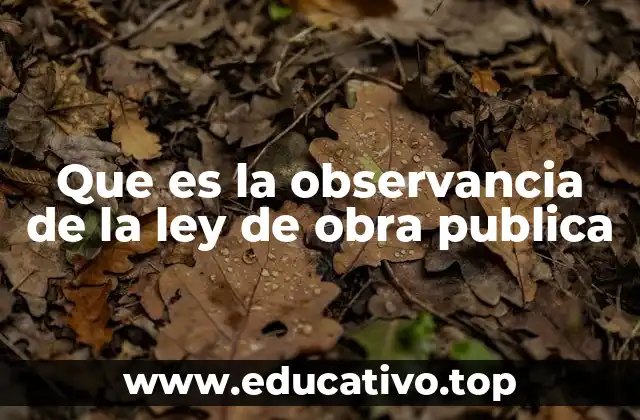 La importancia de la transparencia en la gestión de obras públicas