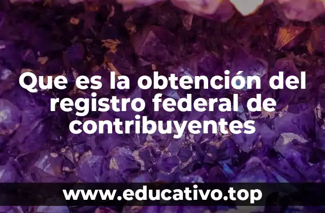 Que es la obtención del registro federal de contribuyentes