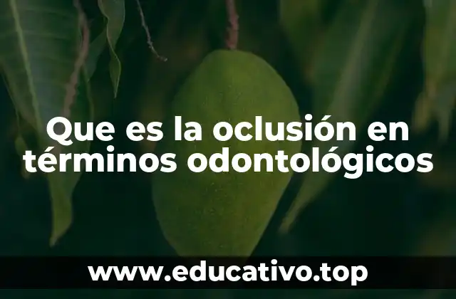 La importancia de la relación entre mandíbula y maxilar en la oclusión