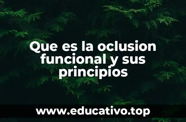 Que es la oclusion funcional y sus principios