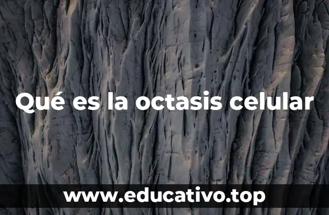 Qué es la octasis celular