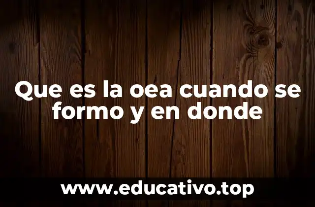Que es la oea cuando se formo y en donde
