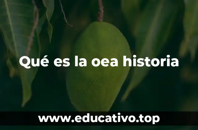 Qué es la oea historia