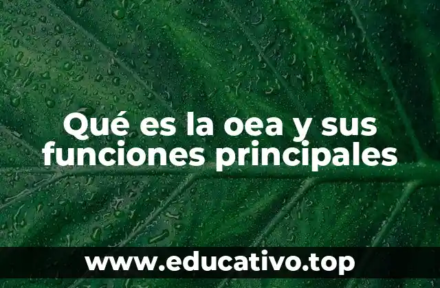 Qué es la oea y sus funciones principales