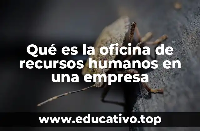 Qué es la oficina de recursos humanos en una empresa