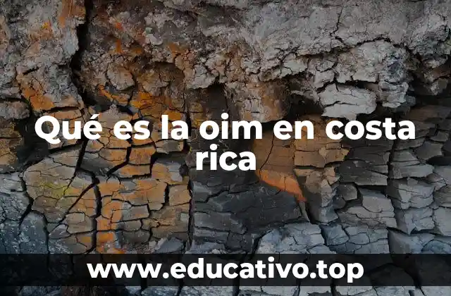 El rol de la OIM en la gestión migratoria de Costa Rica