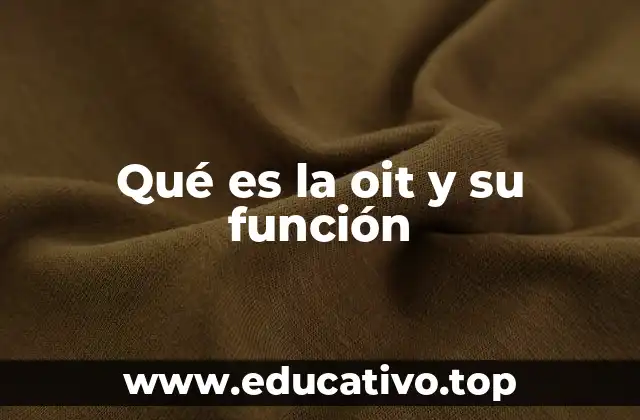 Qué es la oit y su función
