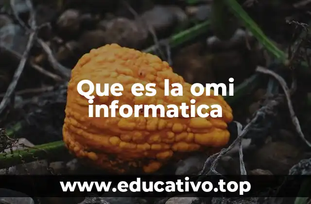 Que es la omi informatica