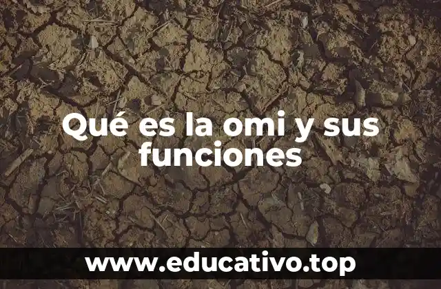 Qué es la omi y sus funciones