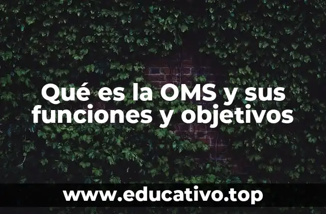 Qué es la OMS y sus funciones y objetivos