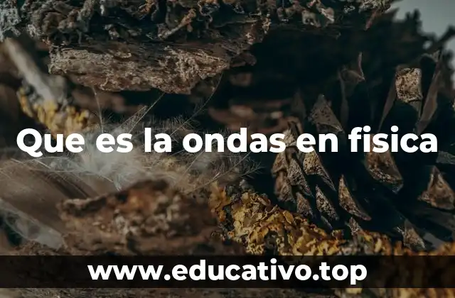 Que es la ondas en fisica