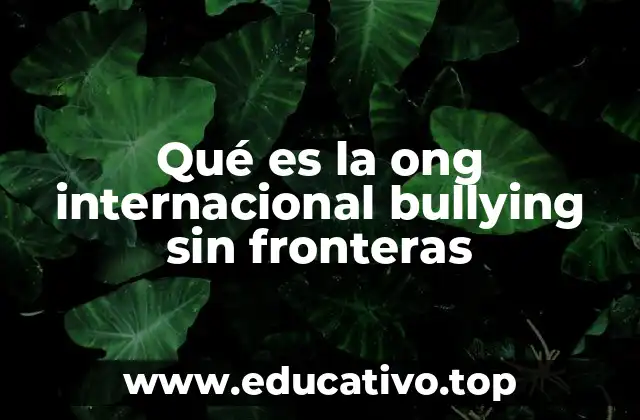 Qué es la ong internacional bullying sin fronteras