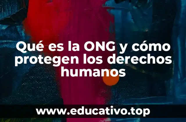 Qué es la ONG y cómo protegen los derechos humanos