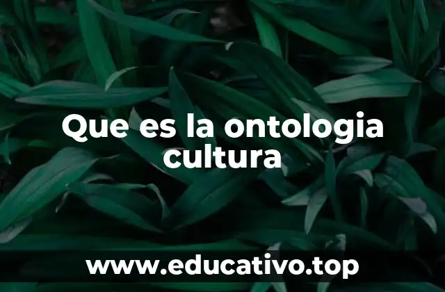 Que es la ontologia cultura