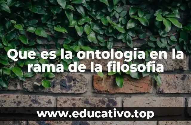 Que es la ontologia en la rama de la filosofia