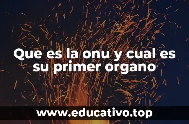 Que es la onu y cual es su primer organo