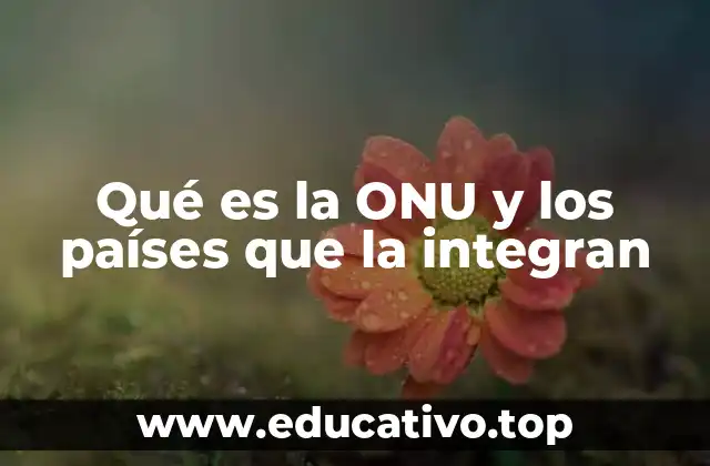 Qué es la ONU y los países que la integran
