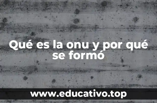 Qué es la onu y por qué se formó