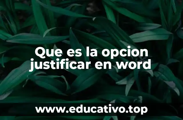 Que es la opcion justificar en word