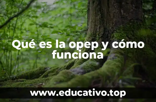 Qué es la opep y cómo funciona