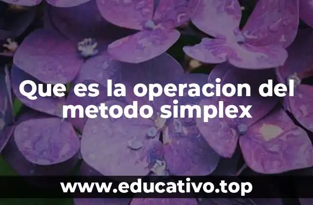 Que es la operacion del metodo simplex