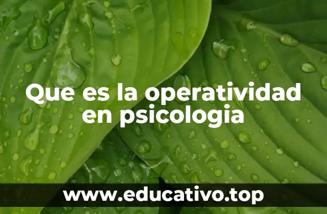 Que es la operatividad en psicologia