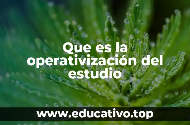 Que es la operativización del estudio