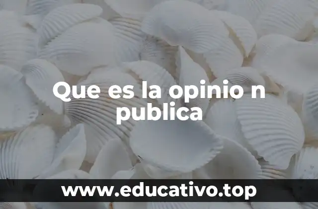 Que es la opinio n publica