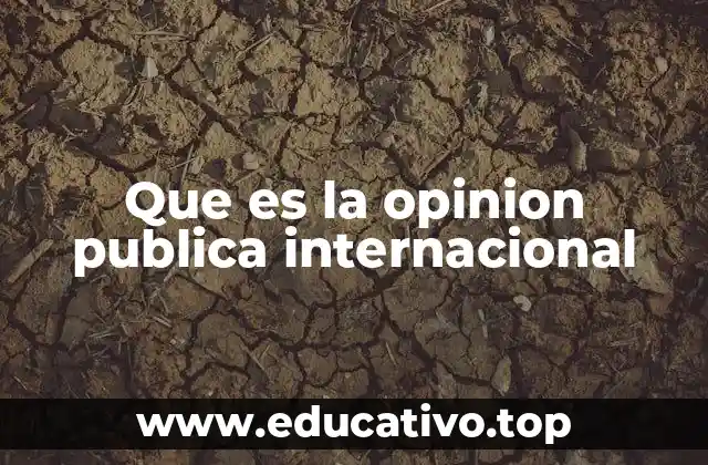 Que es la opinion publica internacional