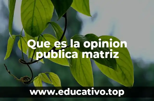 Que es la opinion publica matriz