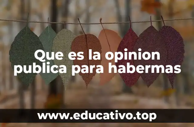 Que es la opinion publica para habermas