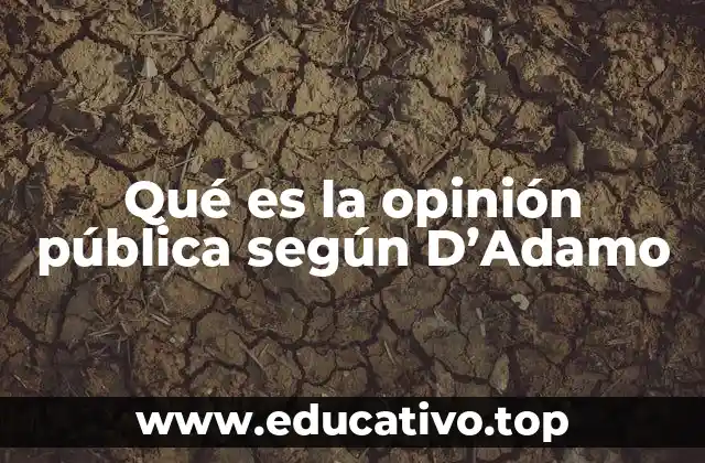 Qué es la opinión pública según D’Adamo