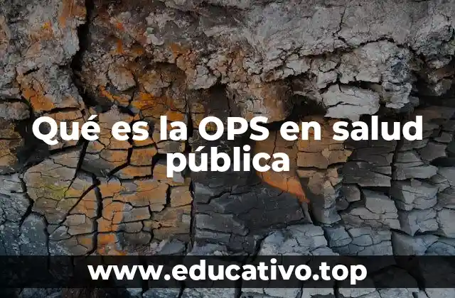 Qué es la OPS en salud pública