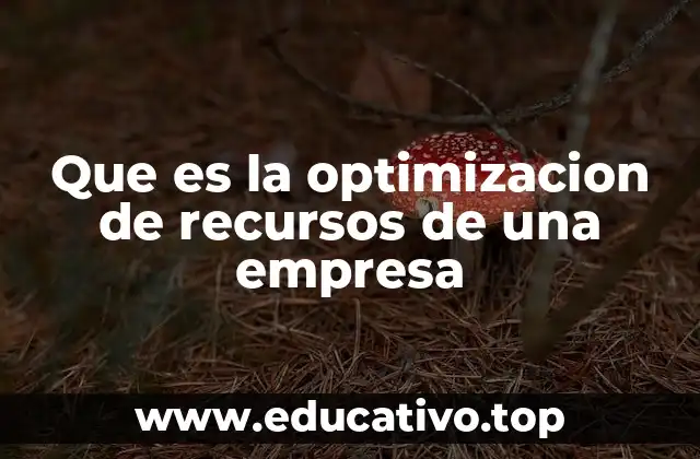 Que es la optimizacion de recursos de una empresa