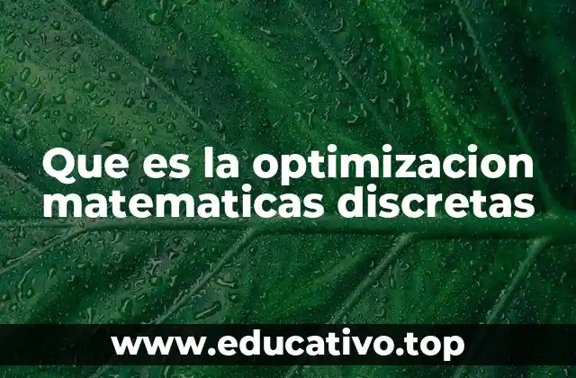 Que es la optimizacion matematicas discretas