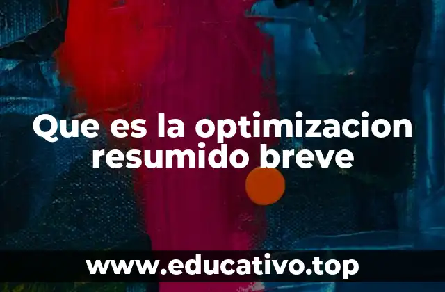 Que es la optimizacion resumido breve