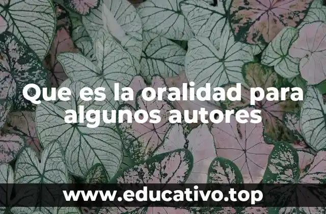 Que es la oralidad para algunos autores