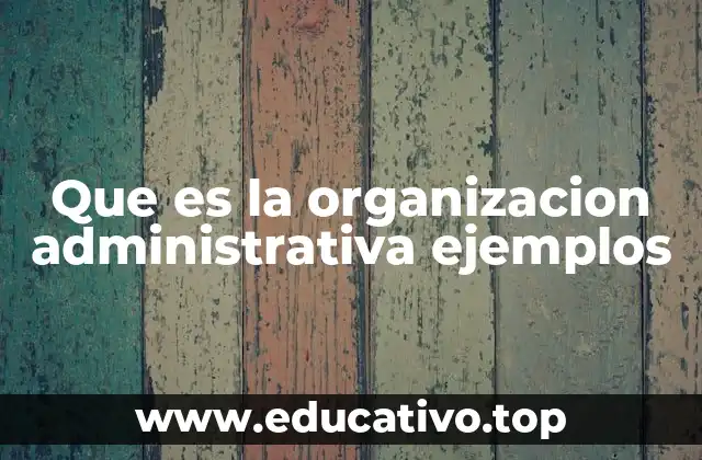 Que es la organizacion administrativa ejemplos