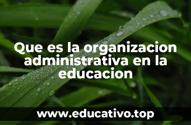 Que es la organizacion administrativa en la educacion
