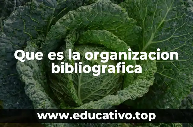 Que es la organizacion bibliografica