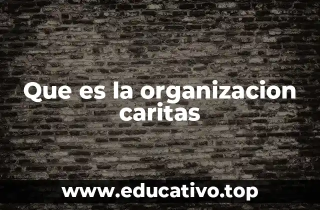 Que es la organizacion caritas