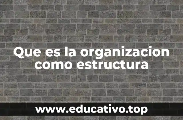 Que es la organizacion como estructura