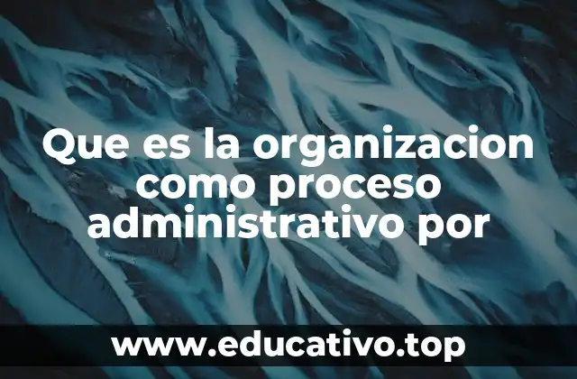 La importancia de la organización en el desarrollo de proyectos