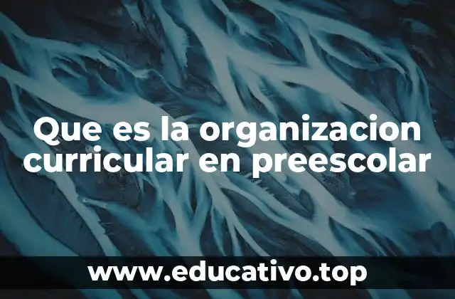 Que es la organizacion curricular en preescolar