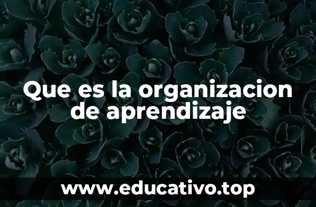 Que es la organizacion de aprendizaje