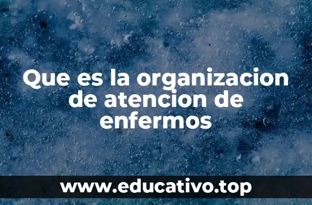 Que es la organizacion de atencion de enfermos