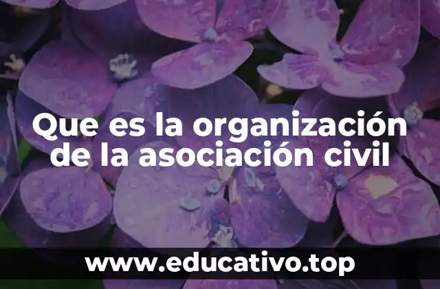 Que es la organización de la asociación civil