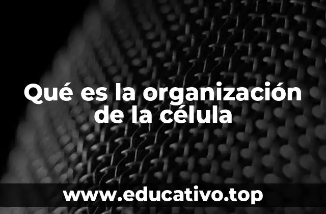 Qué es la organización de la célula