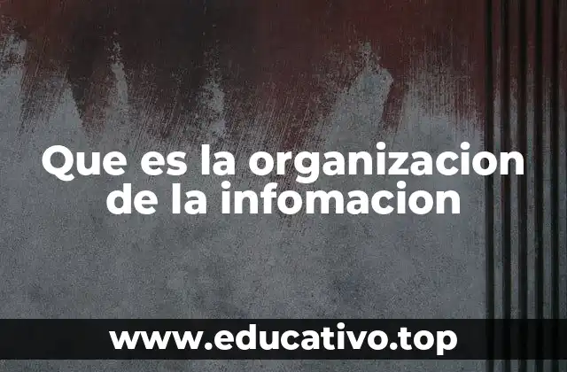 Que es la organizacion de la infomacion
